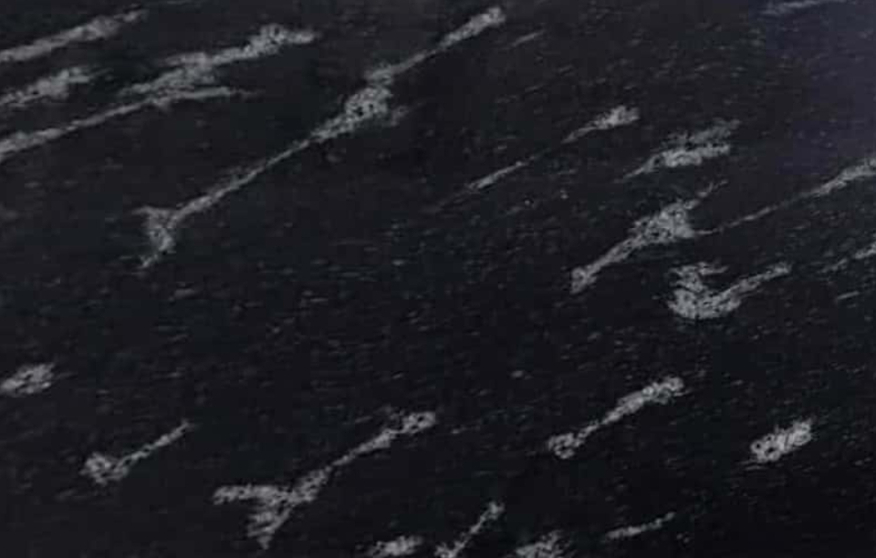 Fish Black