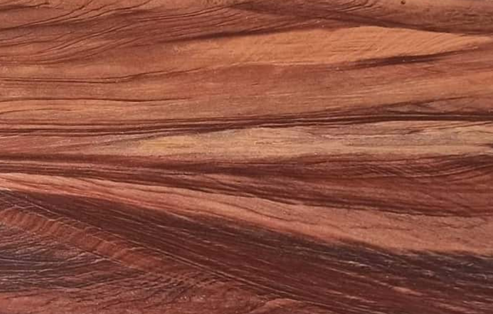 Red Lavante